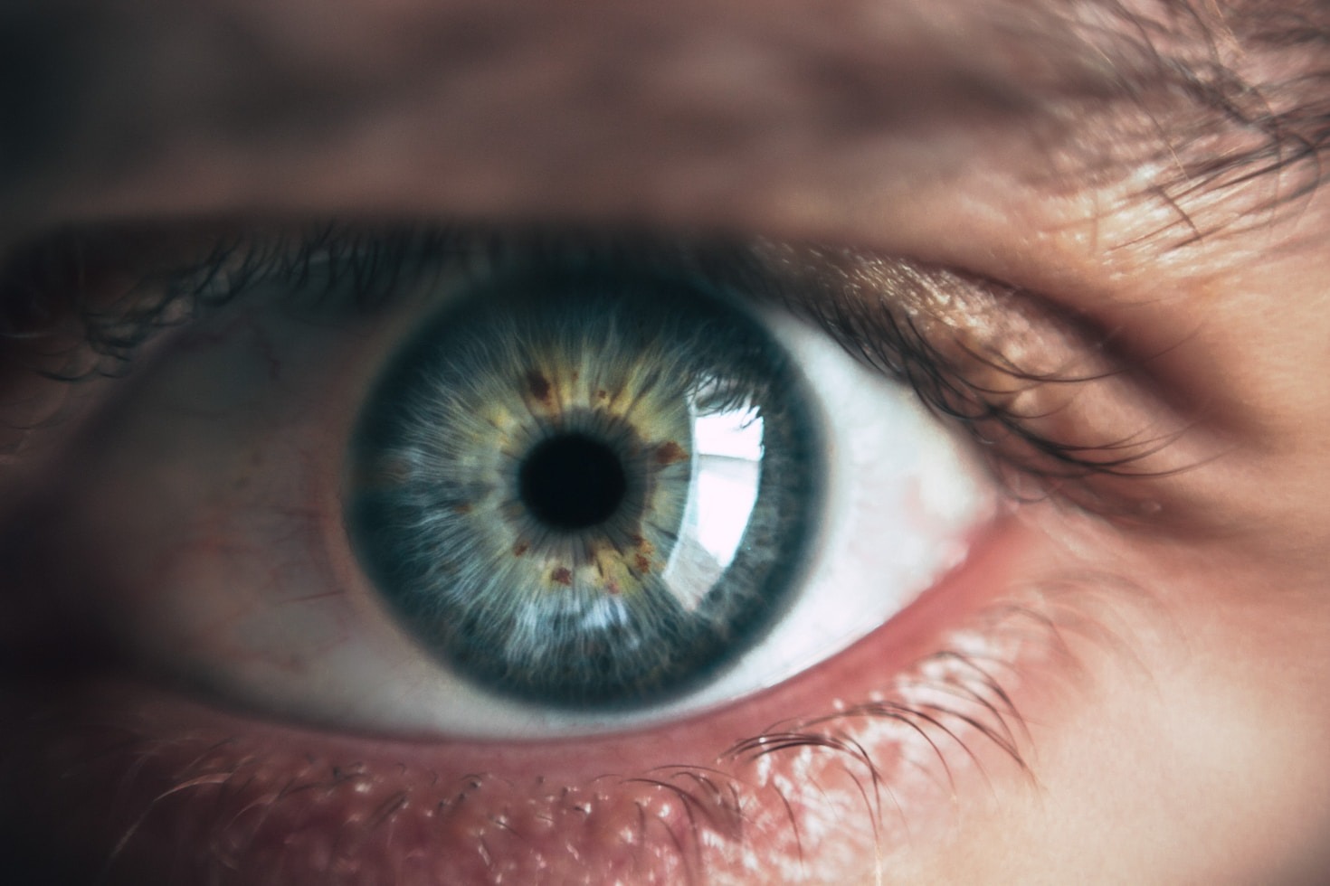 Top Foods That Promote Healthy Eyesight